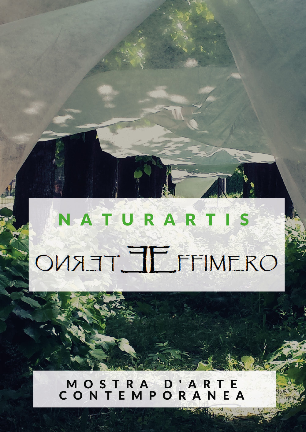 Naturartis. Eterno effimero. Cultura e ambiente. Catalogo della mostra (Solbiate …