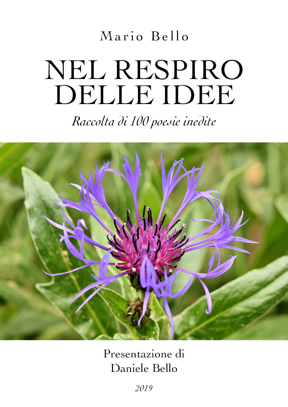 Nel respiro delle idee