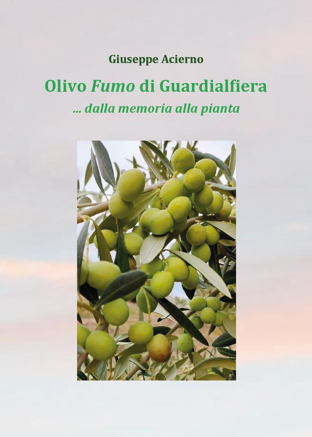 Olivo fumo di Guardialfiera. Dalla memoria della pianta