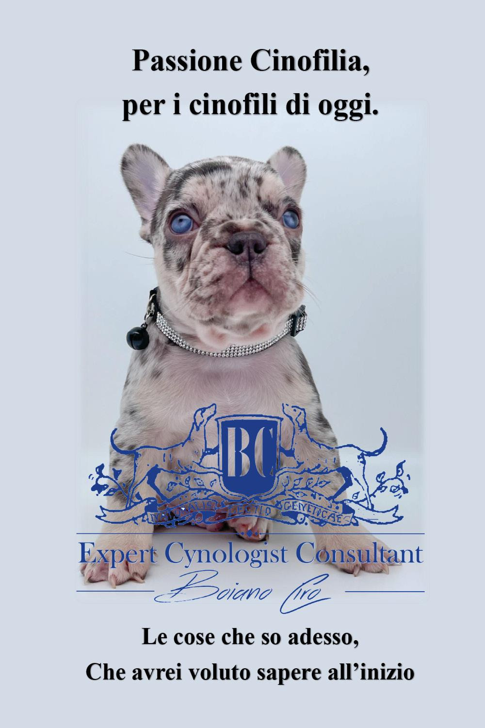 Passione cinofilia, per i cinofili di oggi. Le cose che …