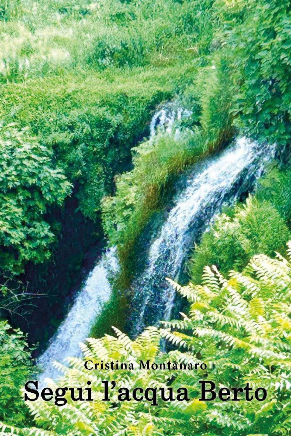 Segui l'acqua Berto