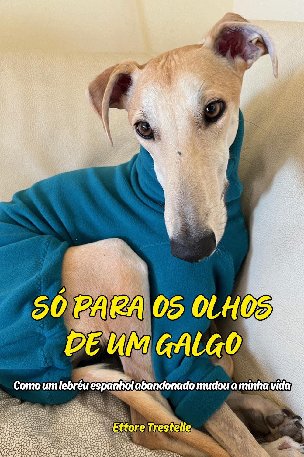 Só para os olhos de um galgo. Como um lebréu …
