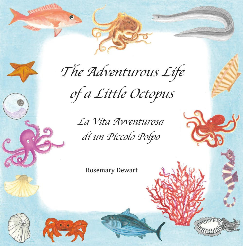 The adventurous life of a little octopus-La vita avventurosa di …