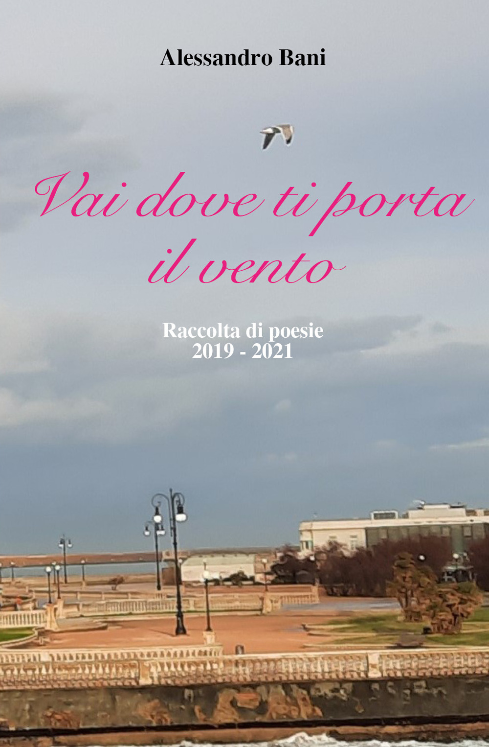 Vai dove ti porta il vento