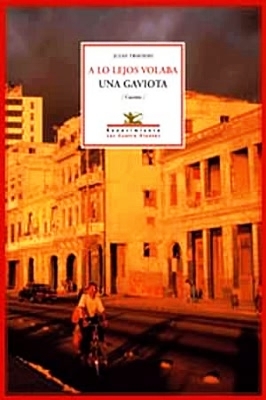 A lo lejos volaba una gaviota. Cuentos.