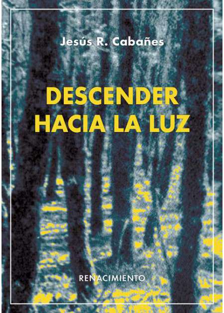Descender hacia la luz. Poesía.