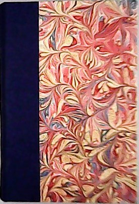 El rey leproso. Novela. Versión española de J. M. Agudo …