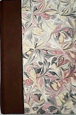 La Nueva Literatura. Tomo 4: La evolución de la novela.