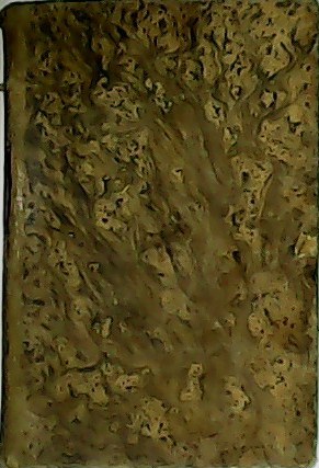 Nuestra Señora de Lourdes.