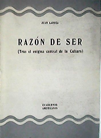 Razón de ser (Tras el enigma central de la cultura).