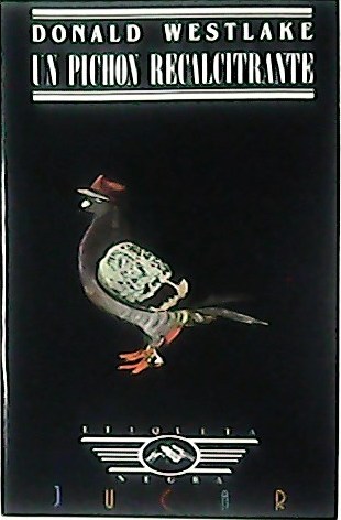 Un pichón recalcitrante.