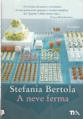 A NEVE FERMA