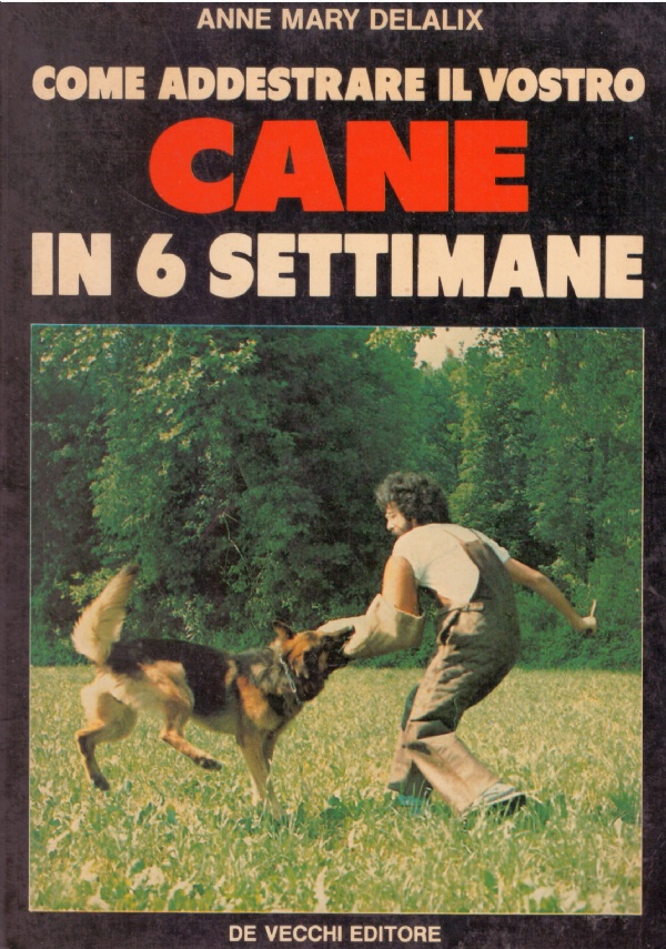 COME ADDESTRARE IL VOSTRO CANE IN 6 SETTIMANE