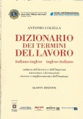 DIZIONARIO DEI TERMINI DEL LAVORO. ITALIANO-INGLESE e INGLESE-ITALIANO