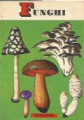 FUNGHI