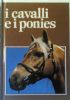 I CAVALLI E I PONIES