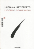 I DOLORI DEL GIOVANE WALTER