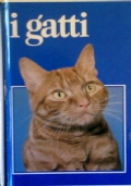 I GATTI