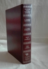 IL BAMBINO SCOMPARSO - UN GIORNO DI FELICITA’ - MEDICI …