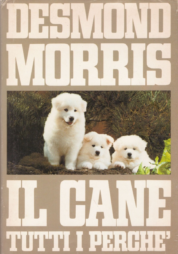 IL CANE. Tutti i perché