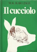 IL CUCCIOLO