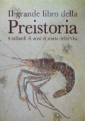 IL GRANDE LIBRO DELLA PREISTORIA. 4 miliardi di anni di …