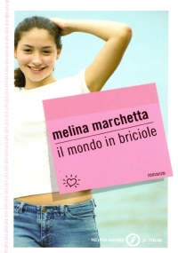 IL MONDO IN BRICIOLE