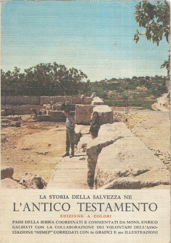 La storia della salvezza ne L’ANTICO TESTAMENTO. Edizione a colori