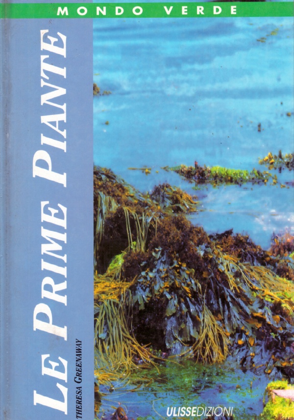 LE PRIME PIANTE