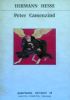 PETER CAMENZIND