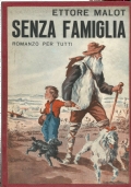 SENZA FAMIGLIA - Romanzo per tutti