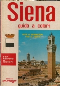 SIENA e dintorni - Nuova guida artistica
