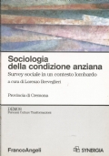 SOCIOLOGIA DELLA CONDIZIONE ANZIANA - Survey sociale in un contesto …