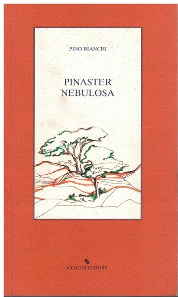 Pinaster nebulosa