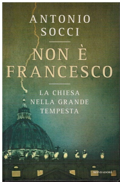 Non è Francesco la chiesa nella grande tempesta