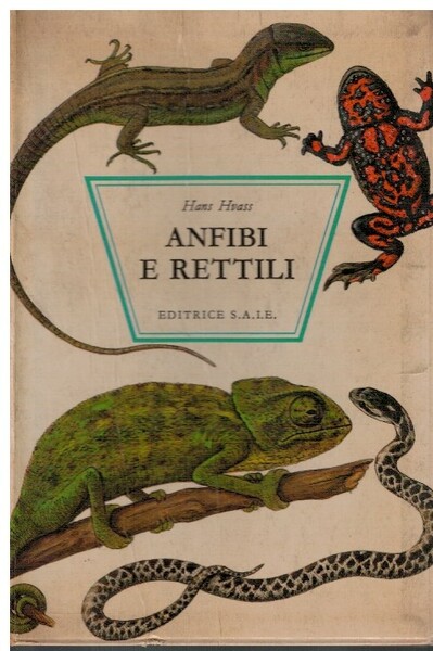 Anfibi e rettili