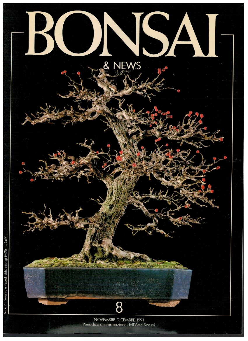 Bonsai & News 8