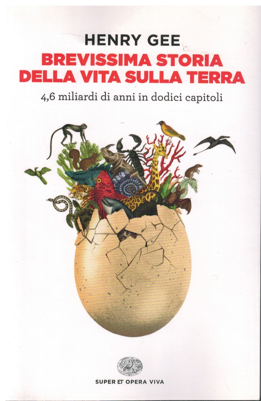 Brevissima storia della vita sulla terra