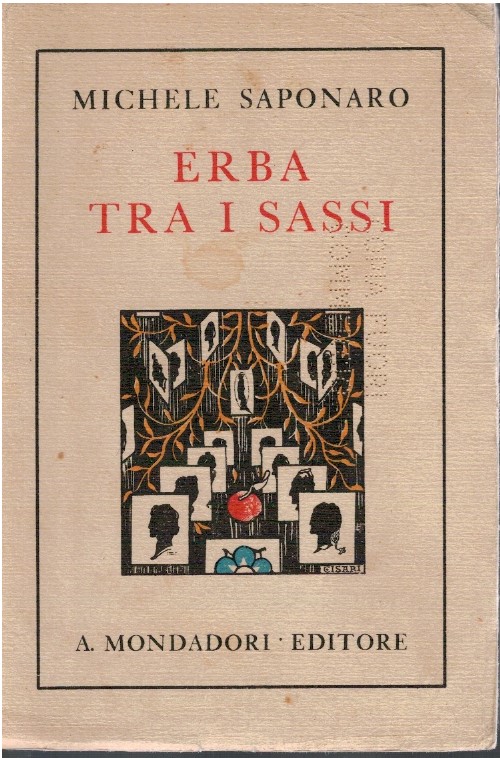 Erba tra i sassi