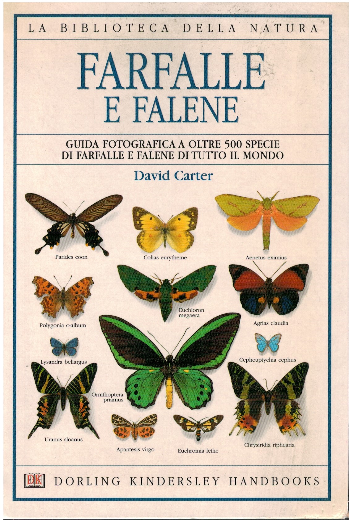 Farfalle e falene