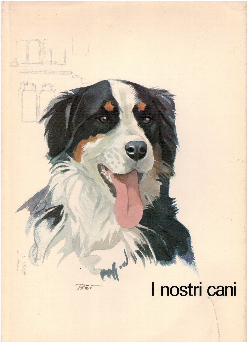 I nostri cani