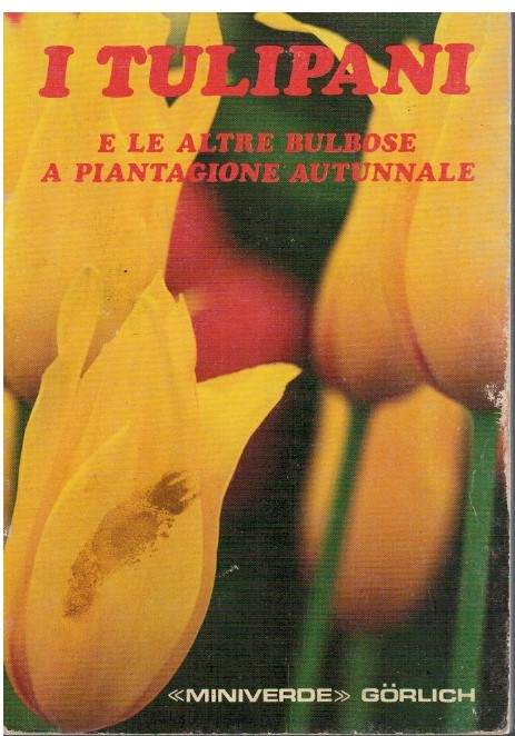 I tulipani e le altre bulbose a piantagione autunnale