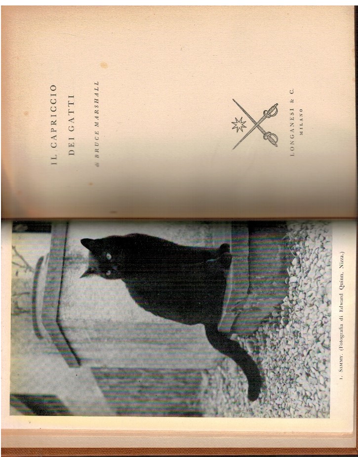 Il capriccio dei gatti