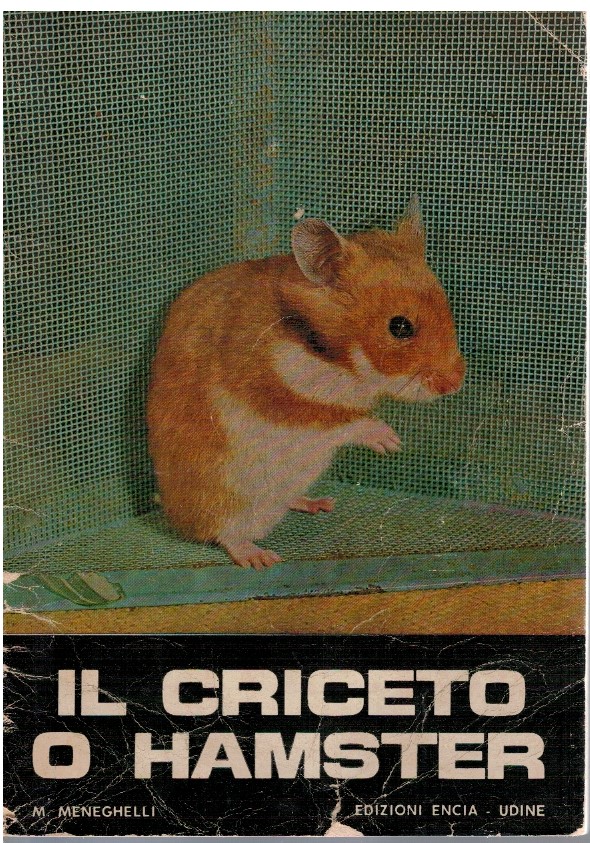 Il criceto o hamster