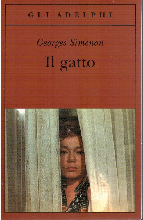 Il gatto
