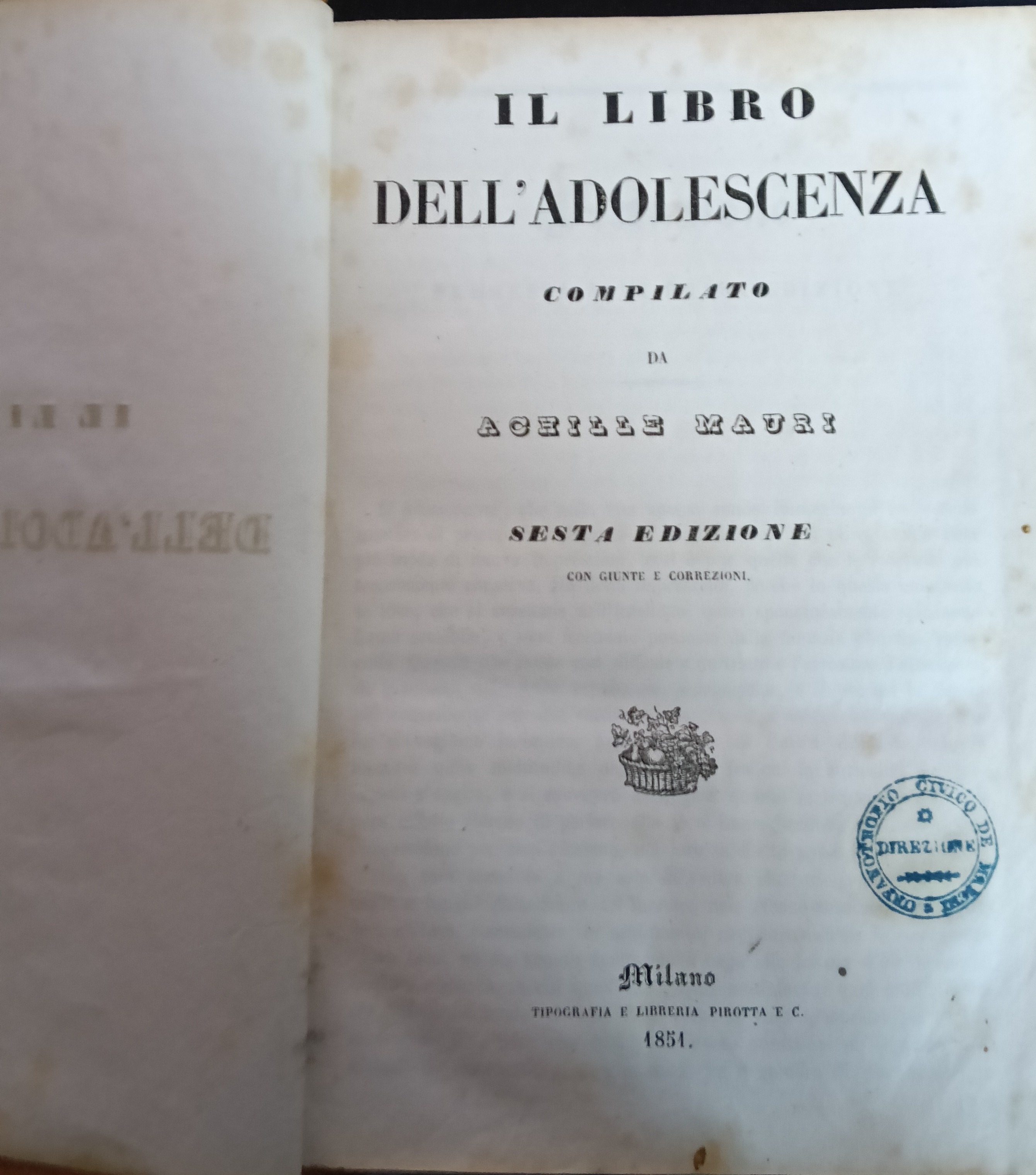 Il libro dell'adolescenza