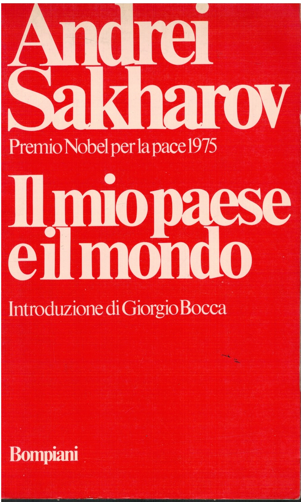 Il mio paese e il mondo