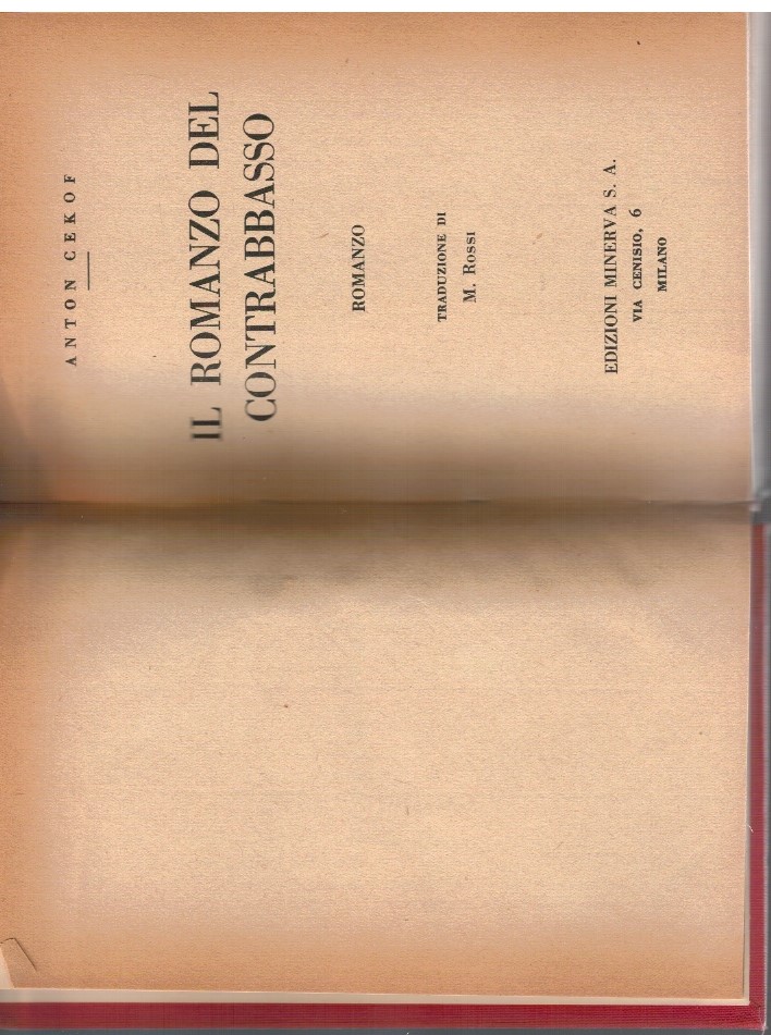 Il romanzo del contrabbasso