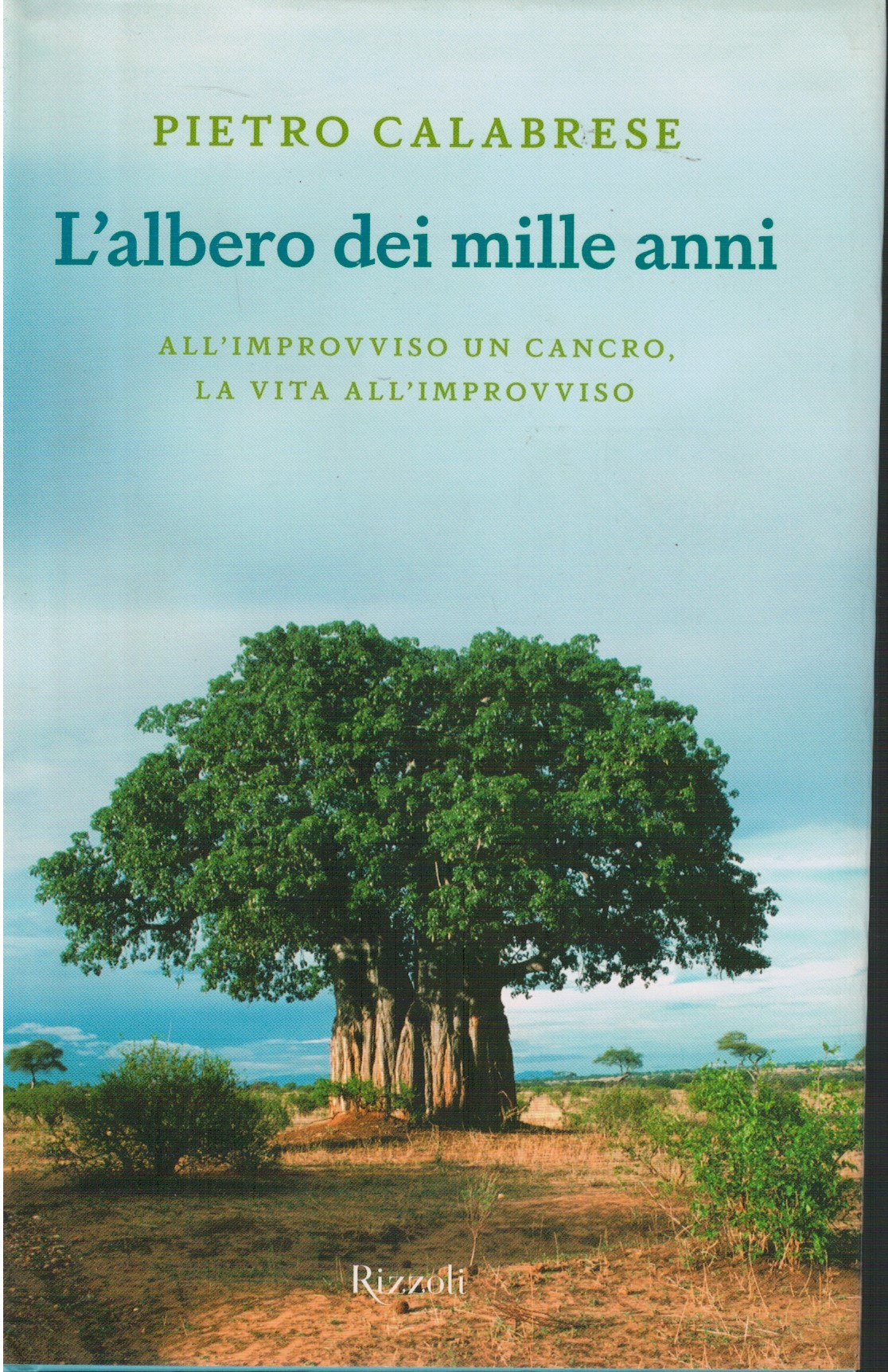 L'albero dei mille anni