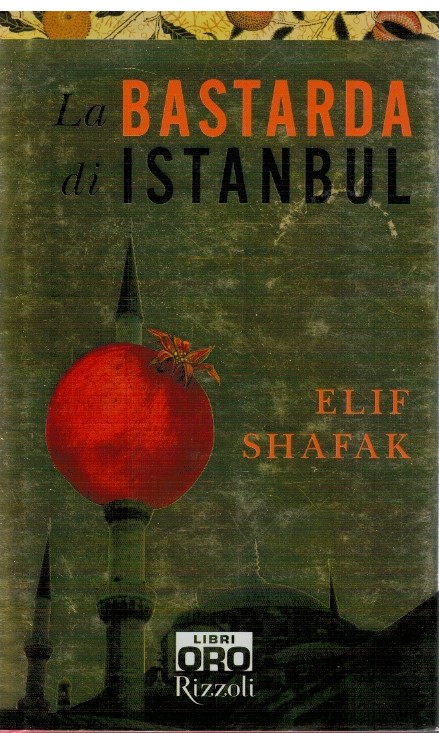 La bastarda di Istanbul
